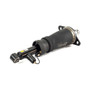 Arnott Industries Air Suspension Strut P/N:AS-3223