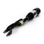 Arnott Industries Air Suspension Strut P/N:AS-3522