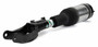 Arnott Industries Air Suspension Strut P/N:AS-3594