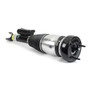 Arnott Industries Air Suspension Strut P/N:AS-5087