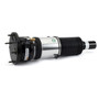 Arnott Industries Air Suspension Strut P/N:ASE-3820