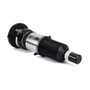 Arnott Industries Air Suspension Strut P/N:ASE-3820