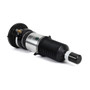 Arnott Industries Air Suspension Strut P/N:ASE-3821