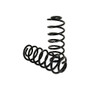 Arnott Industries Air Spring to Coil Spring Conversion Kit P/N:C-2137