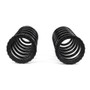 Arnott Industries Air Spring to Coil Spring Conversion Kit P/N:C-2410