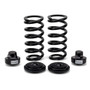 Arnott Industries Air Spring to Coil Spring Conversion Kit P/N:C-2896