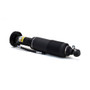 Arnott Industries Suspension Strut SK-2413 - view 2