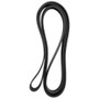 Dayco Serpentine Belt P/N:5081265