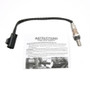 Oxygen Sensor fits 2003-2011 Ford Focus  DELPHI