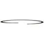 Delphi Fuel Tank Lock Ring P/N:FA10022