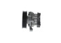 Bosch Power Steering Pump P/N:KS01000661