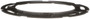 Delphi Fuel Tank Lock Ring P/N:FA10027