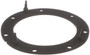 Delphi Fuel Pump Tank Seal P/N:FA10038