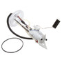 Delphi Fuel Pump Module Assembly P/N:FG0866