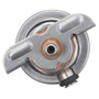 Delphi Fuel Injection Pressure Regulator P/N:FP10302