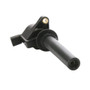 Delphi Ignition Coil P/N:GN10192