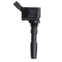 Delphi Ignition Coil P/N:GN10631
