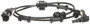 Delphi ABS Wheel Speed Sensor P/N:SS21249