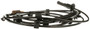 Delphi ABS Wheel Speed Sensor P/N:SS21371