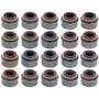 Engine Valve Stem Oil Seal Set Apex Automobile Parts AVS2098