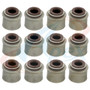 Engine Valve Stem Oil Seal Set Apex Automobile Parts AVS4010