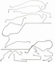 Dorman - OE Solutions Brake Hydraulic Line Kit P/N:919-235