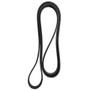 Dayco Serpentine Belt P/N:5060740