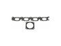 Dorman - OE Solutions Engine Intake Manifold Gasket Set P/N:615-705
