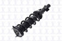 Focus Auto Parts Suspension Strut and Coil Spring Assembly P/N:1335989R
