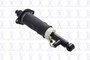 Suspension Air Strut fits 2001-2005 Audi Allroad Quattro  FCS AUTOMOTIVE