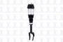 Air Suspension Strut FCS 99061