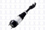 Air Suspension Strut FCS 99061
