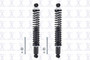 Focus Auto Parts Suspension Shock Absorber and Coil Spring Assembly P/N:SC00019