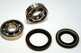 SKF Wheel Bearing P/N:BK5