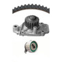 Dayco Engine Timing Belt Kit with Water Pump P/N:WP143K1A