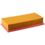 Air Filter PGI EXTENDED LIFE PA5569