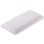 Air Filter PGI EXTENDED LIFE PA5793