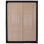 Air Filter PGI EXTENDED LIFE PA5823