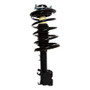 Suspension Strut and Coil Spring fits 2002-2006 Nissan Altima  PERFORMANCE RIDE