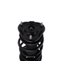Suspension Strut and Coil Spring Assembly-Auto Trans 814990 fits 2005 Scion tC