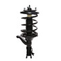 Suspension Strut and Coil Spring Assembly-CNG, Sedan fits 2003 Honda Civic