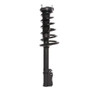 Suspension Strut and Coil Spring fits 1999-2003 Lexus RX300  PERFORMANCE RIDE TE