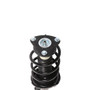 Suspension Strut and Coil Spring fits 2013 Ford Focus  PERFORMANCE RIDE TECHNOLO