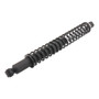 PRT Suspension Shock Absorber and Coil Spring Assembly P/N:920937
