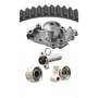 Dayco Engine Timing Belt Kit with Water Pump P/N:WP257K1A