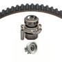 Dayco Engine Timing Belt Kit with Water Pump P/N:WP296K1AM