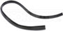 Dorman - OE Solutions Door Seal P/N:924-498