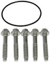 Dorman - OE Solutions Axle Bolt,Disc Brake Rotor Bolt,Wheel Hub Bolt P/N:926-127