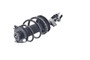Focus Auto Parts Suspension Strut and Coil Spring Assembly P/N:1333505L
