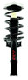 Suspension Strut and Coil Spring Assembly FCS 1333761